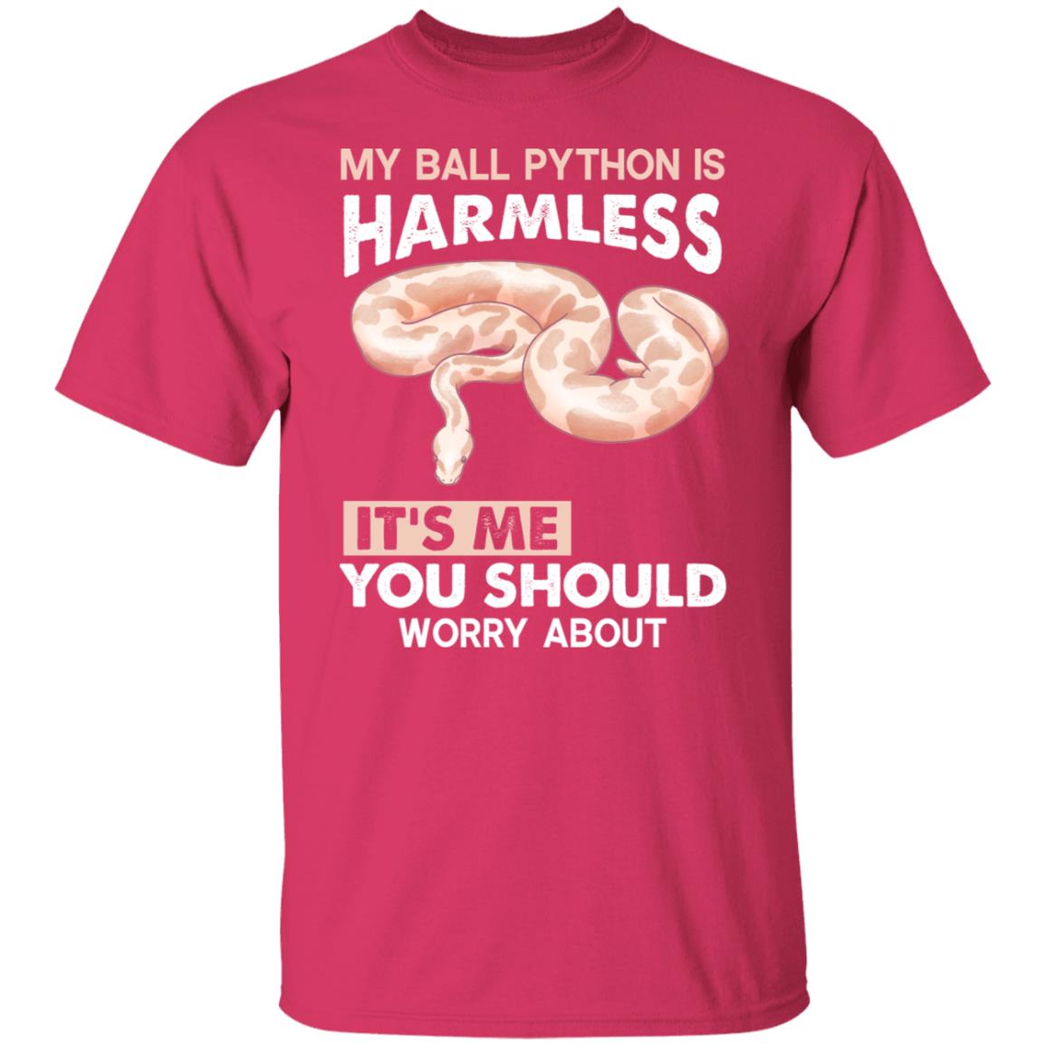 My Ball Python Is Harmless, It's Me You Should Worry About - Men's T-Shirt