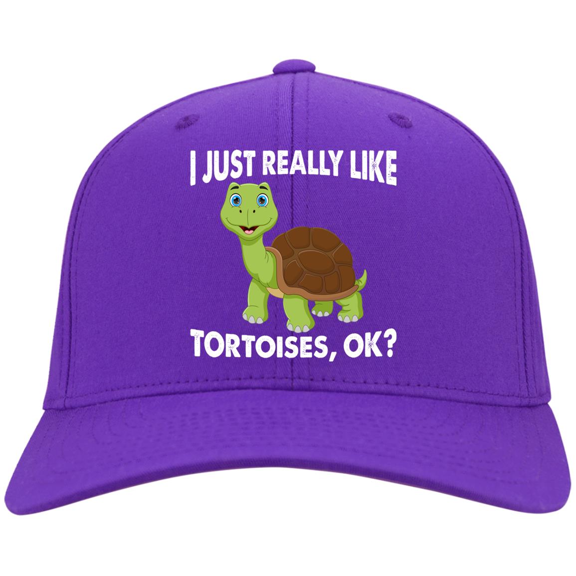 I Just Really Like Tortoises, Ok? - Twill Cap