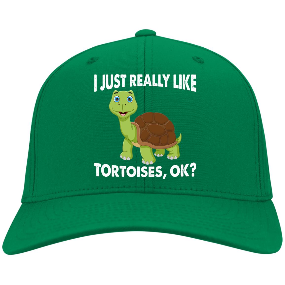 I Just Really Like Tortoises, Ok? - Twill Cap